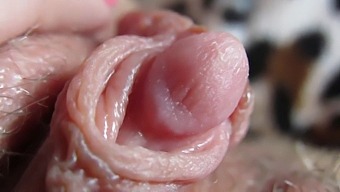 Intense Close-Up View Of My Throbbing Clitoris Tip